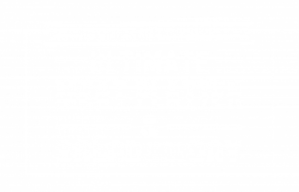 salad_of_the_day